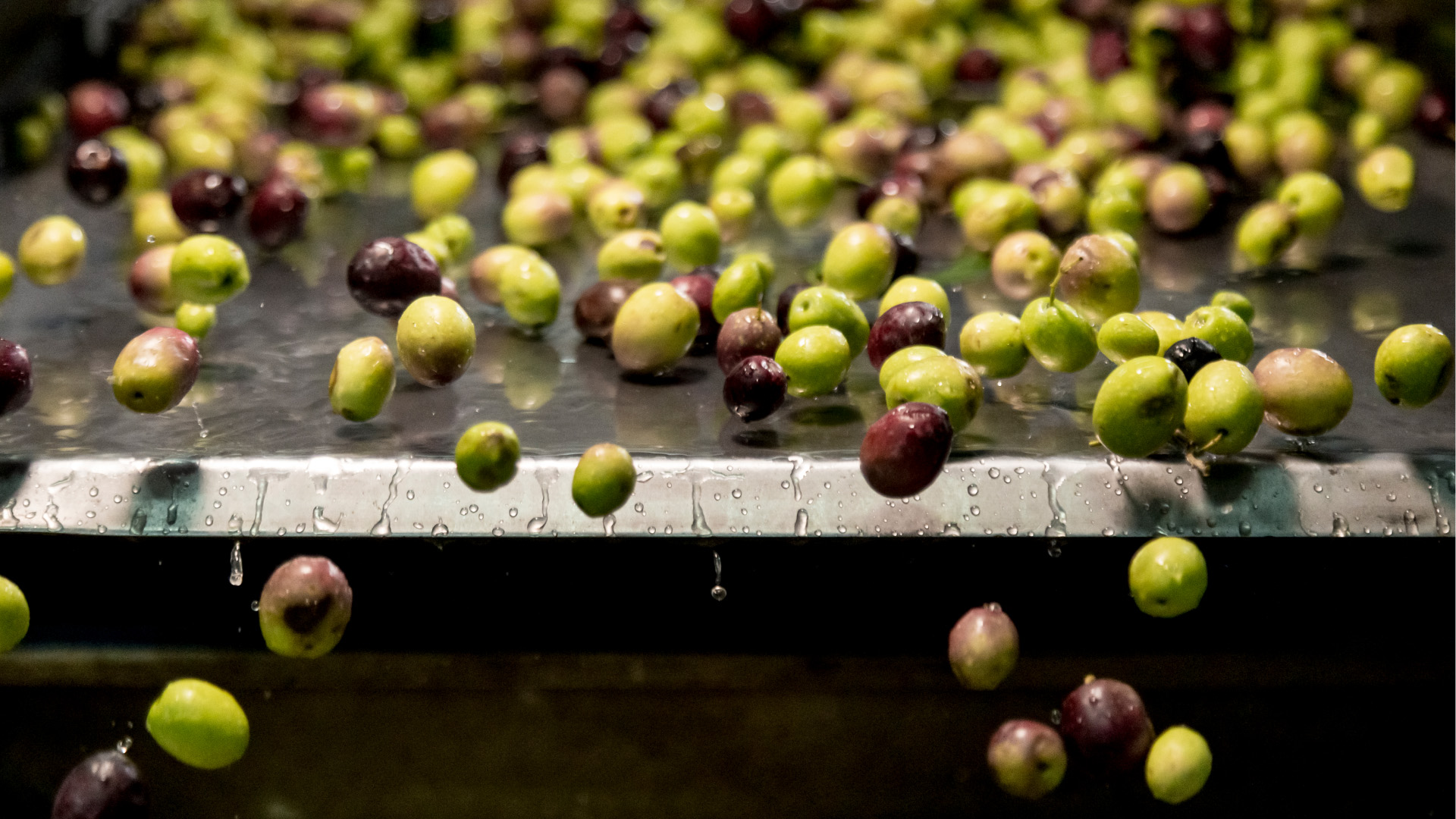 1-Soap experience and olive oil tasting